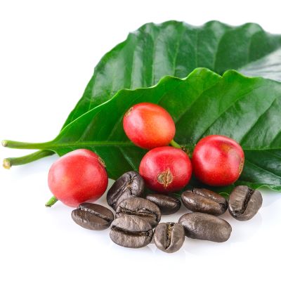 Arabica-Kaffee
