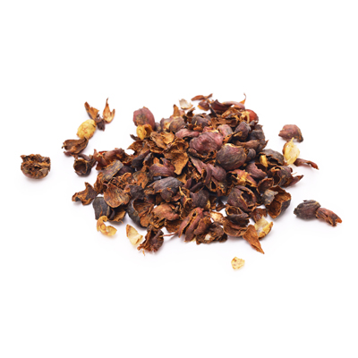 Cascara (Aufguss)