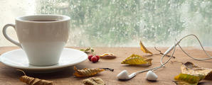 Manutea: ein entspannter und gesunder Herbst