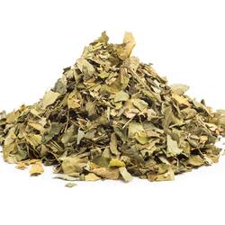 MORINGA KRAUT+BLATT - das Heilkraut
