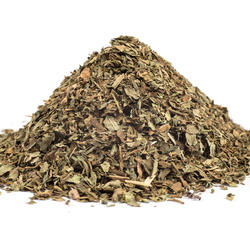 BASILIKUMBLATT (Ocimum basilicum)