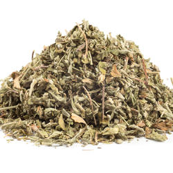 DAMIANA – Kraut
