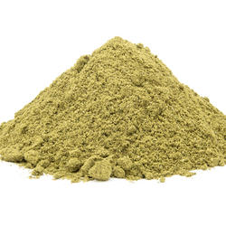 MEERRETTICHBAUM BIO - Pulver