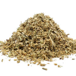 GEWÖHNLICHE SCHAFGARBE Blüte (Achillea millefolium) – Kraut
