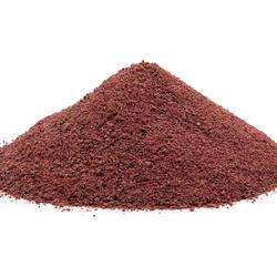 ROTE BEETE BIO ( Beta vulgaris var. Vulgaris) – Pulver
