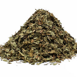 LÖWENZAHN KRAUT+BLATT (Taraxacum officinale) - Krautige Pflanze
