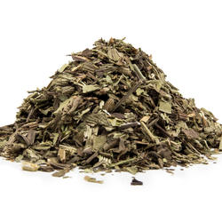 Wegerich Kraut+Blatt (Plantago lanceolata) - Krautige Pflanze
