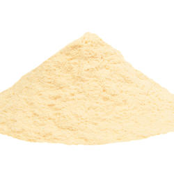 ACEROLA BIO (Malpighia emarginata) – Pulver