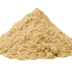 SHATAVARI BIO (Asparagus racemosus) – Pulver
