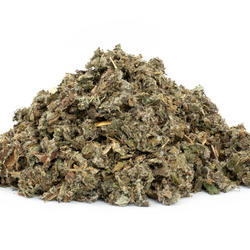 GROSSE KLETTE BLATT (Arctium lappa) – Kraut