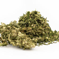 Hanf aus Finola-Blättern  – CBD 1837 mg/kg 