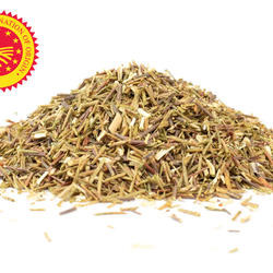 Grüner Rooibos Long Cut BIO