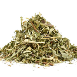 Brombeerblätter (Rubi fruticosi folium) 