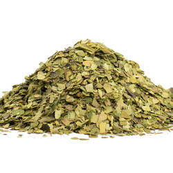 GUAYUSA-TEE (ILEX GUAYUSA)