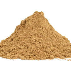 Tibetischer Raupenpilz BIO Pilz (Cordyceps Sinensis Mycelium) -  Pulver