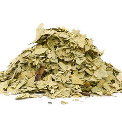 Senna Kraut+Blatt (Cassia angustifolia) - Kraut