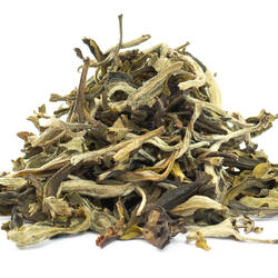Fujian Fuding White Hair - Grüner Tee