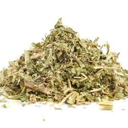 BENEDIKTENKRAUT (Cnicus benedictus L.) – Kraut 