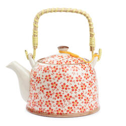 Teekanne mit Sieb 800 ml