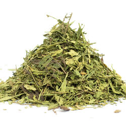 Süßes Stevia Kraut+Blatt (Stevia rebaudiana) – Kraut