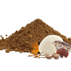 Adaptogene Mischung aus 6 Pilzen BIO – Pulver